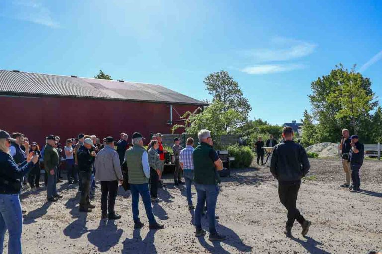 Ädelholm – En pop up i sommarvädret